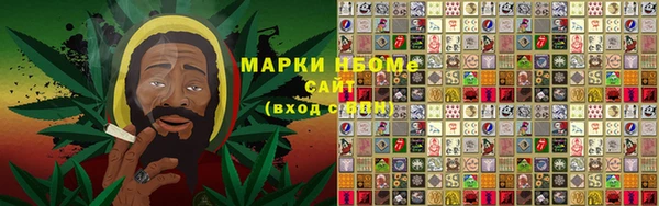 индика Беломорск