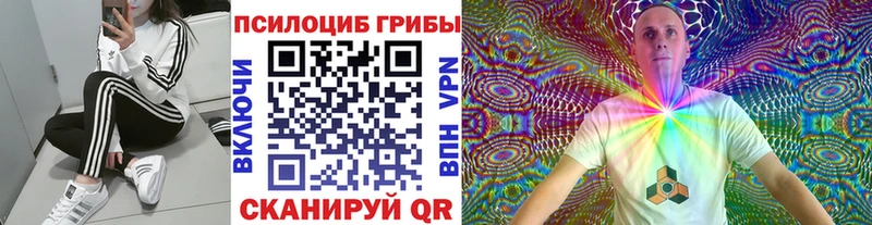 сколько стоит  Дальнегорск  Псилоцибиновые грибы Psilocybine cubensis 