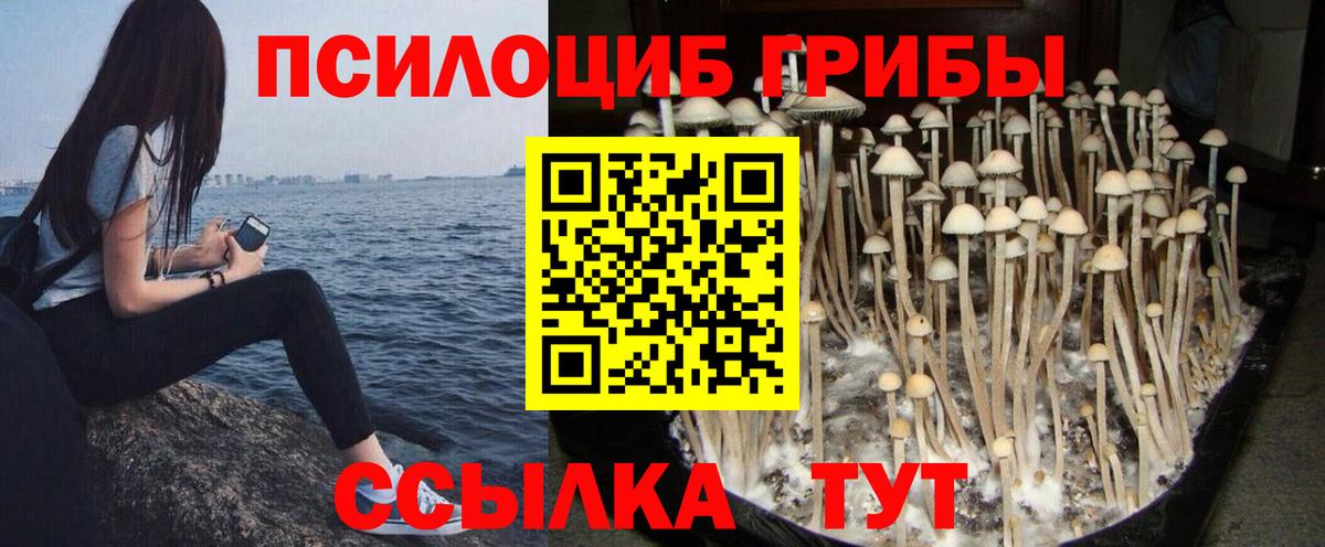 Галлюциногенные грибы мухоморы Дальнегорск