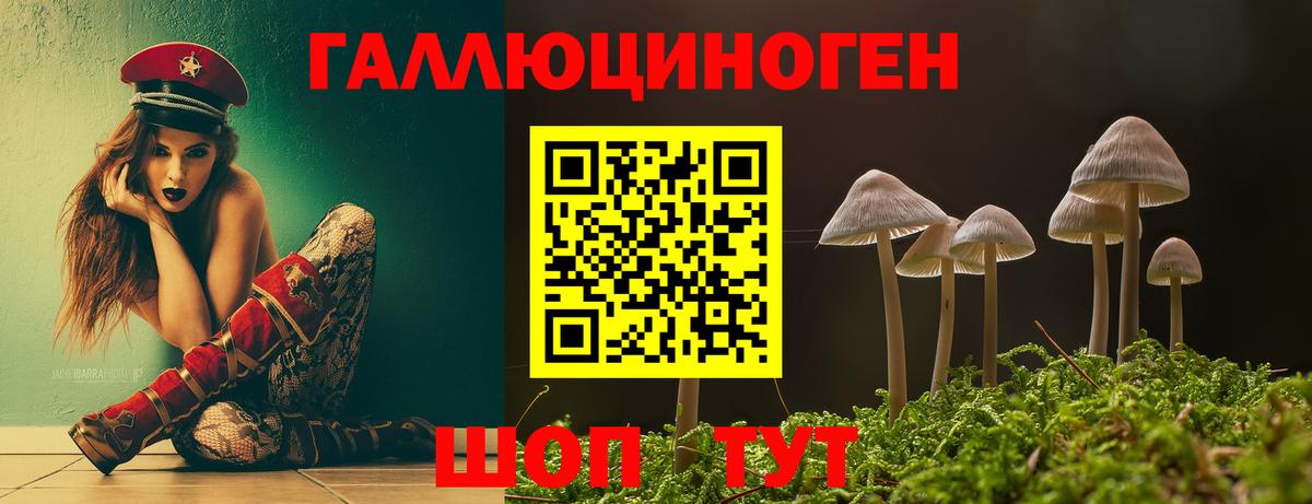 магазин    Псилоцибиновые грибы прущие грибы  Вход с VPN  Дальнегорск 