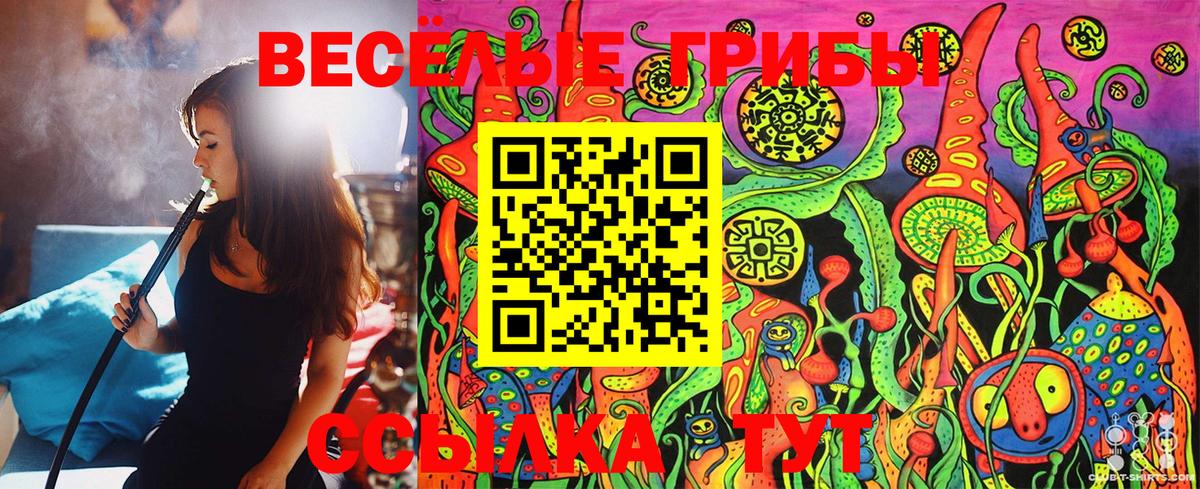 Галлюциногенные грибы Cubensis  Галлюциногенные грибы GOLDEN TEACHER  Дальнегорск 