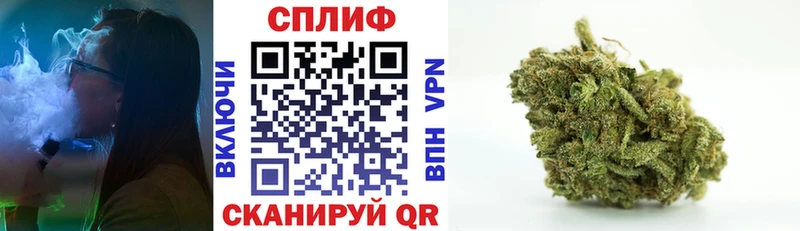 Бошки марихуана сатива  Дальнегорск 